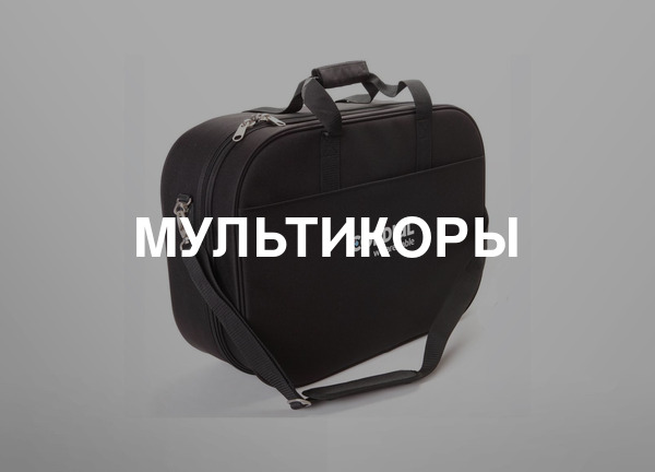 Мультикоры